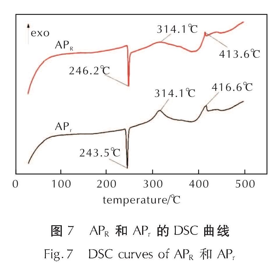 图7 APR和APr的DSC曲线<br/>Fig.7 DSC curves of APR and APr